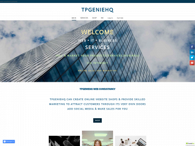 www.tpgenie.co.uk snapshot