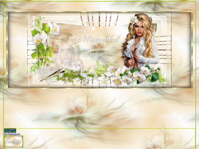 misswinkel-design.dk snapshot
