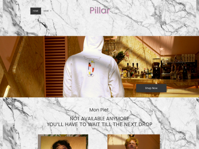 pillarvetements.be snapshot