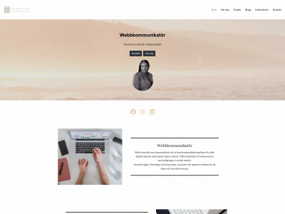 vichul.store snapshot