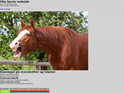 inzaneeksd.dk snapshot