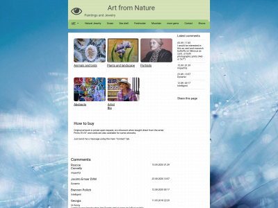 austinnaturaljewelry.com snapshot