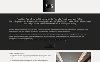 ares.business snapshot