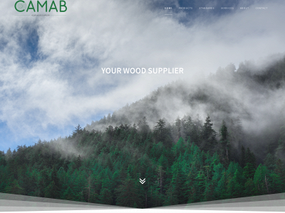 camab.se snapshot