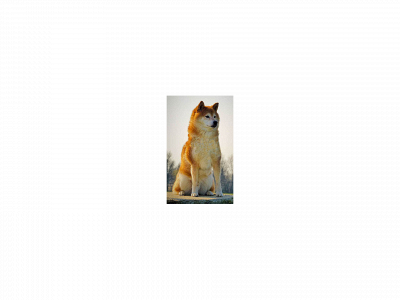shiba-inu-steinbachtal.de snapshot