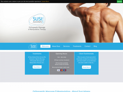 susiadamstherapy.co.uk snapshot