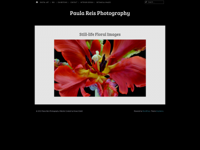 paulareisphotography.com snapshot