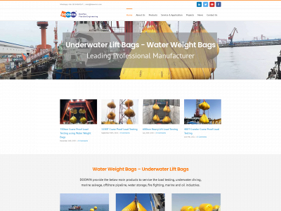 doowincn.com snapshot