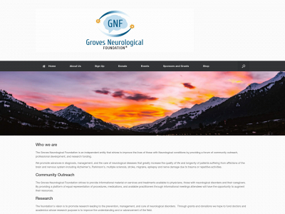 thegrovesneurologicalfoundation.com snapshot