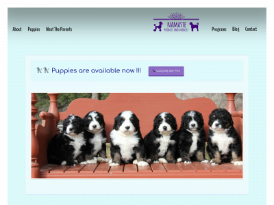 namastepoodles.com snapshot