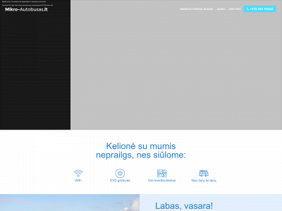mikro-autobusas.lt snapshot