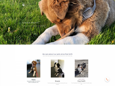 fastandfurrys.se snapshot