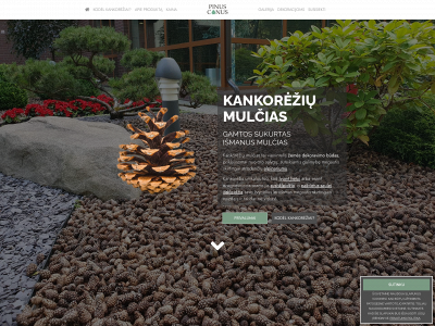 kankoreziai.lt snapshot