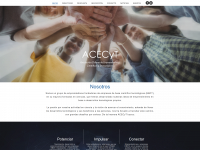 acecyt.com snapshot