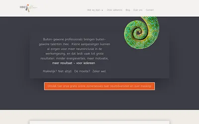 mindflow.be snapshot