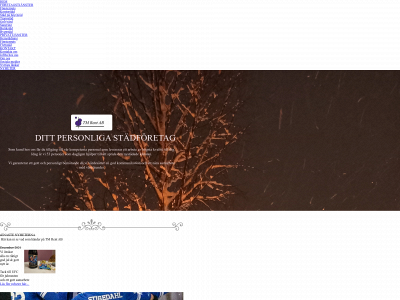 tmrent.se snapshot