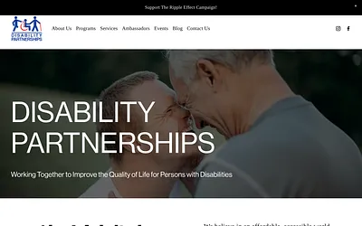 www.disabilitypartnerships.org snapshot