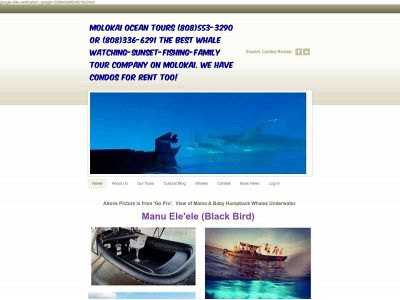 molokaioceantours.com snapshot