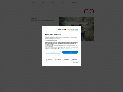 ligamore.com snapshot