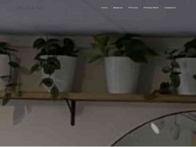 belleandbayhairco.com snapshot