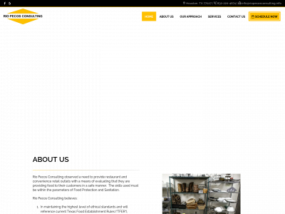 riopecosconsulting.info snapshot