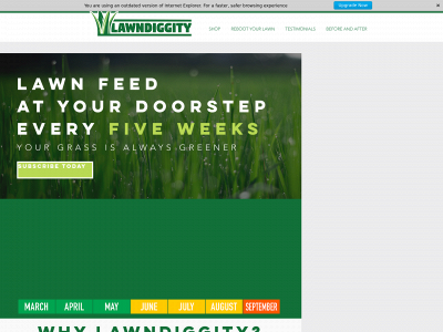 lawndiggity.com snapshot