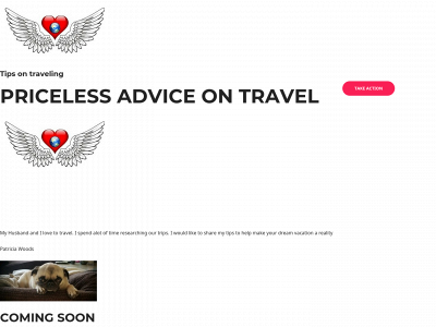 pricelessadviceontravel.com snapshot