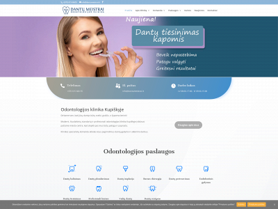 dantumeistrai.lt snapshot