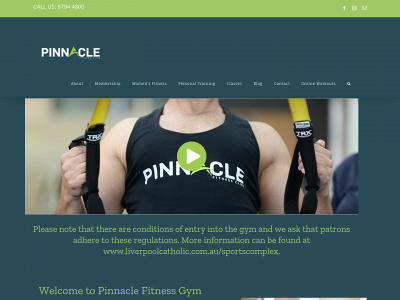 pinnaclefit.com.au snapshot