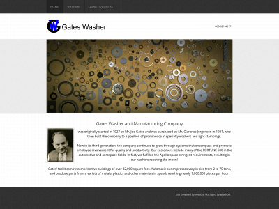 gateswasher.com snapshot