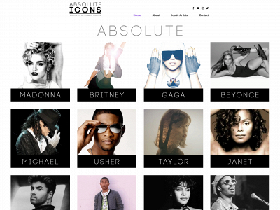 absoluteicons.com snapshot