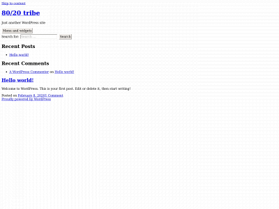 8020tribe.com snapshot