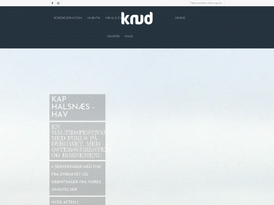 knud.biz snapshot