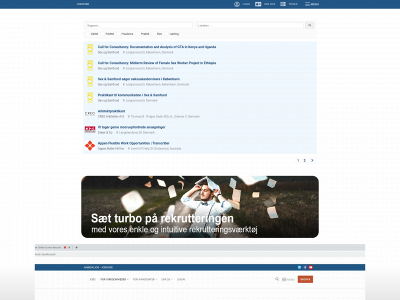 jobviser.dk snapshot