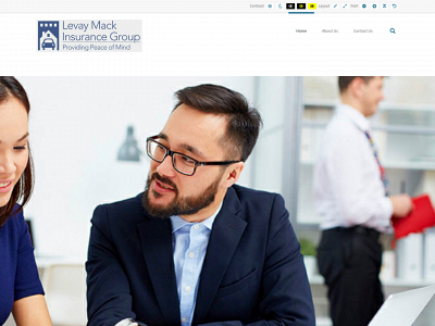 levaymack.com snapshot