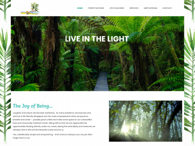 liveinthelightguide.com snapshot