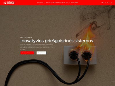 fire-experts.lt snapshot