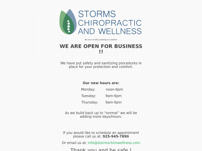 stormschirowellness.com snapshot
