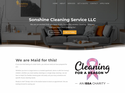 cleaningsebring.com snapshot