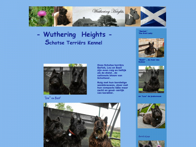 wutheringheights.be snapshot