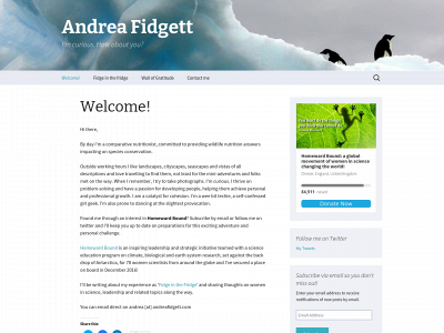 andreafidgett.com snapshot