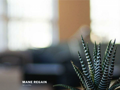 maneregain.com snapshot