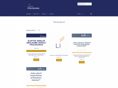versloinzinieriai.lt snapshot