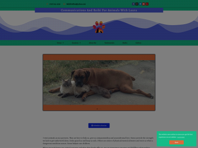 communicationsandreiki.com snapshot
