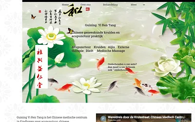 yirentangacupuncture.nl snapshot