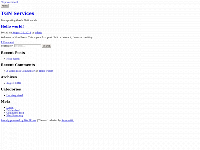 tgnservicescorp.com snapshot