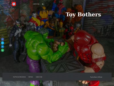 toy2321brothers.com snapshot