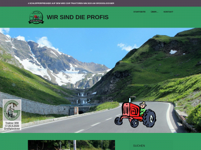 wirsinddieprofis.de snapshot