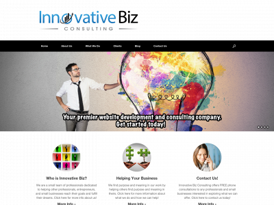 ibizconsulting.com snapshot