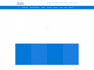 preciouspreviews.com snapshot